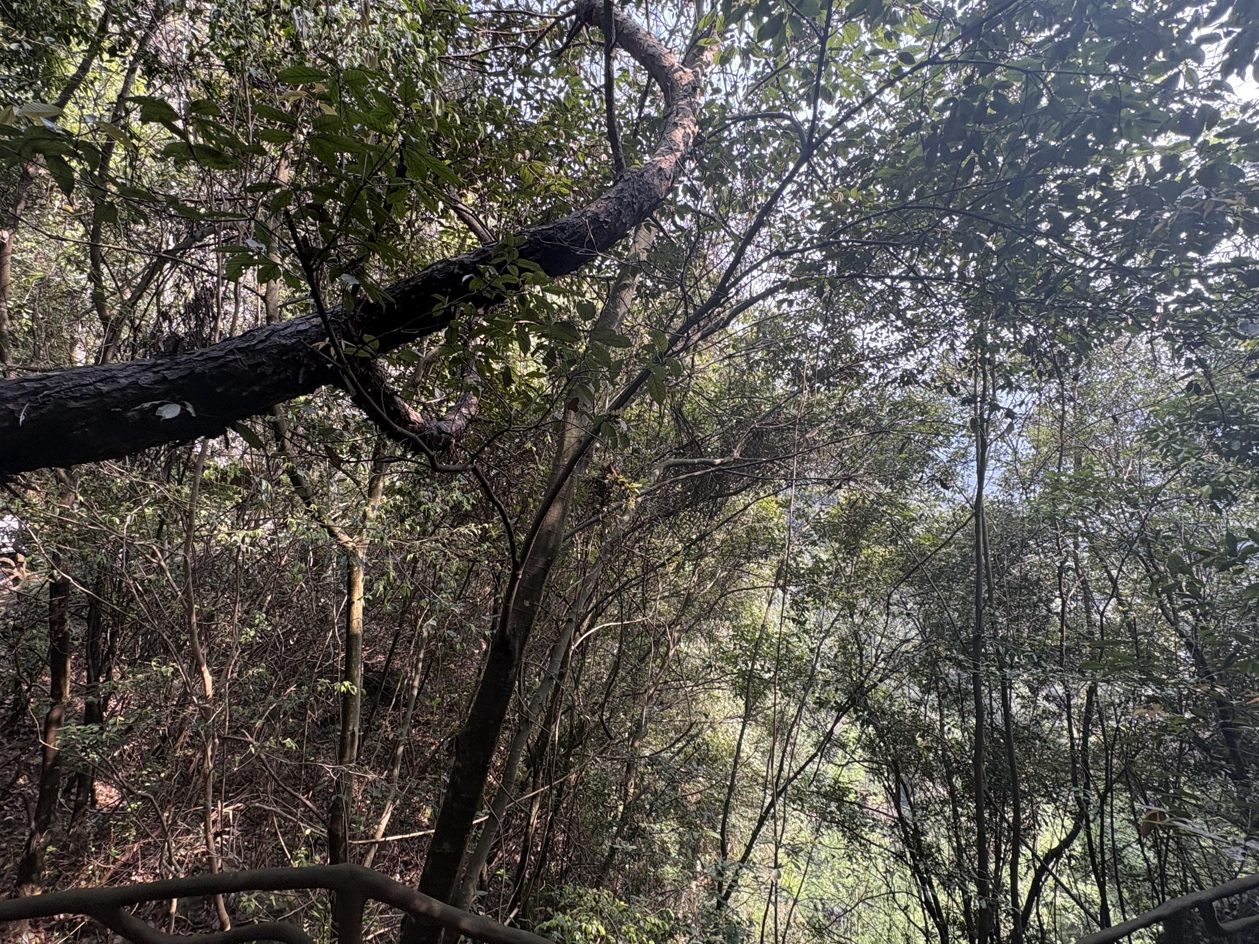 889d6b12883414e733bc9e1129d54604 889d6b12883414e733bc9e1129d54604